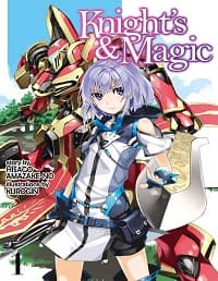 Knights & Magic LN